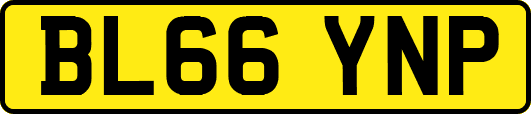 BL66YNP