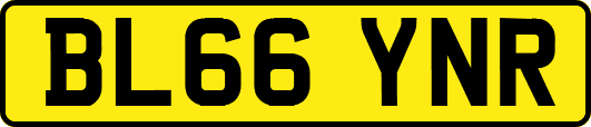 BL66YNR