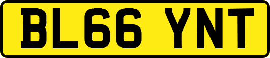 BL66YNT
