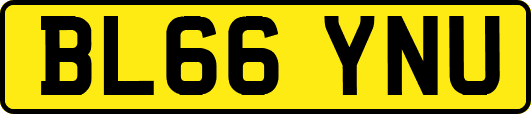 BL66YNU