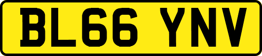 BL66YNV