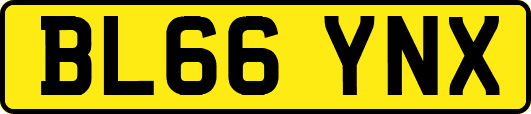 BL66YNX