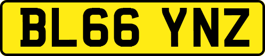 BL66YNZ