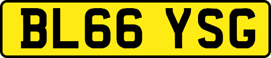 BL66YSG