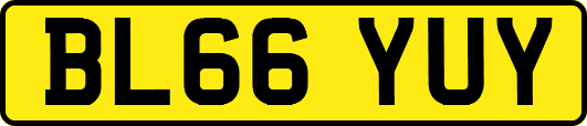 BL66YUY