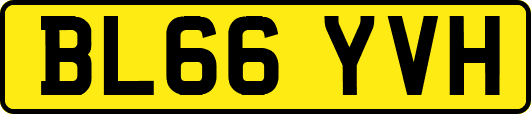 BL66YVH