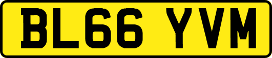 BL66YVM