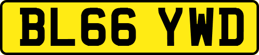 BL66YWD