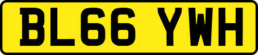 BL66YWH