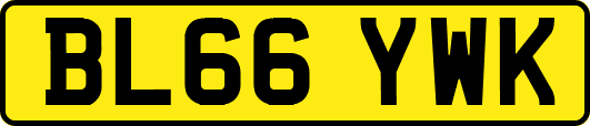 BL66YWK
