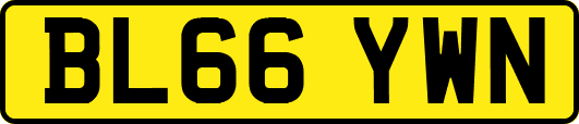 BL66YWN