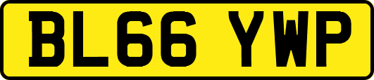 BL66YWP