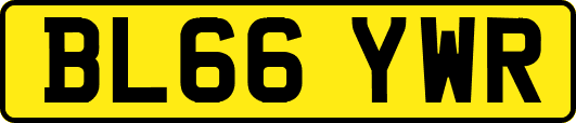 BL66YWR