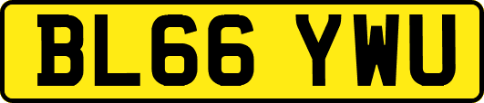 BL66YWU