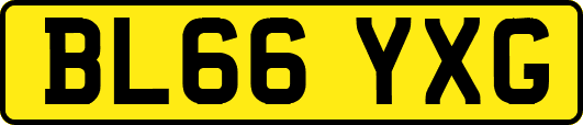 BL66YXG
