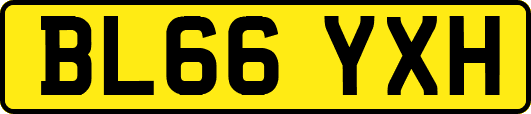 BL66YXH
