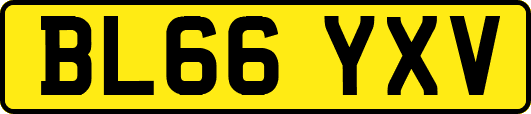 BL66YXV