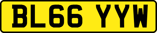 BL66YYW
