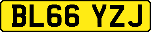 BL66YZJ