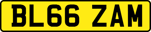 BL66ZAM