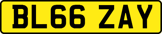 BL66ZAY
