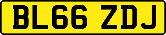 BL66ZDJ