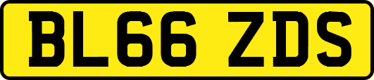 BL66ZDS
