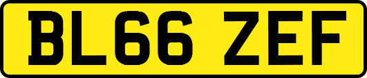 BL66ZEF