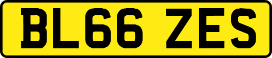 BL66ZES