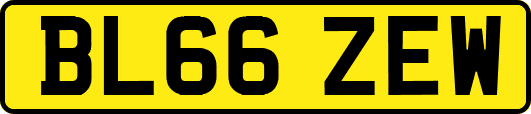 BL66ZEW