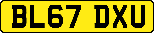 BL67DXU