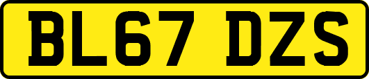 BL67DZS