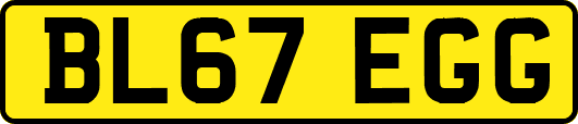 BL67EGG