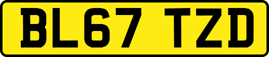 BL67TZD