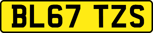 BL67TZS
