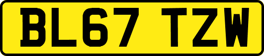 BL67TZW