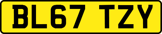 BL67TZY