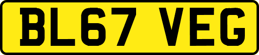 BL67VEG