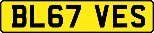 BL67VES