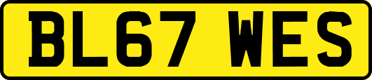 BL67WES