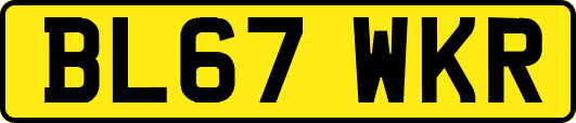 BL67WKR