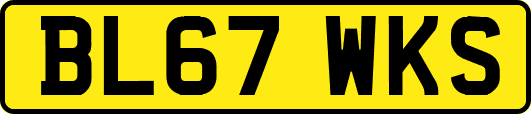 BL67WKS