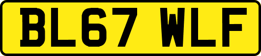 BL67WLF
