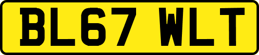 BL67WLT