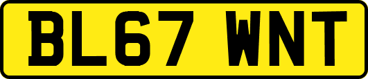 BL67WNT
