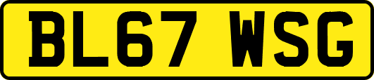 BL67WSG