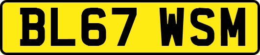 BL67WSM