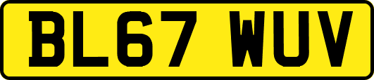 BL67WUV
