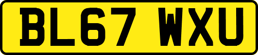 BL67WXU