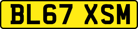 BL67XSM